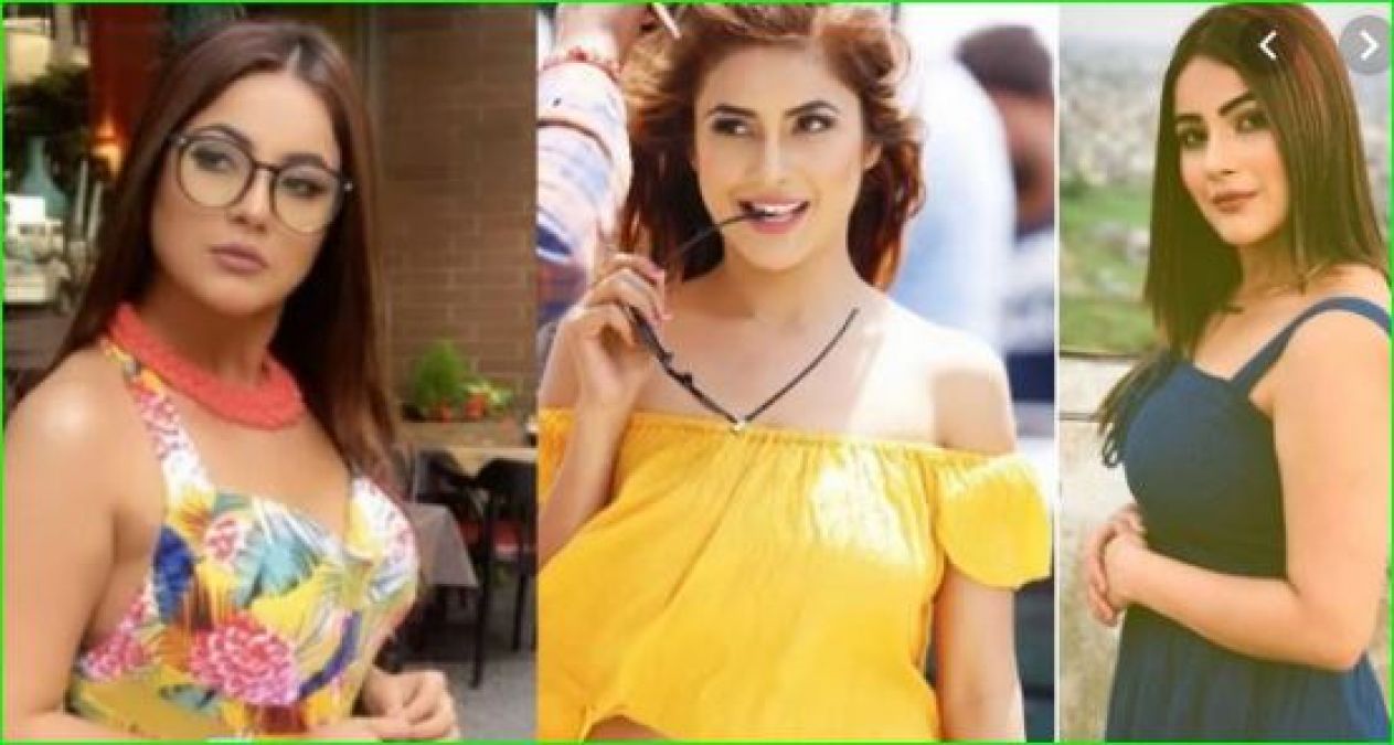 Shehnaz Gill praised this actor in front of Karishma Tanna, said- 'Your enemy ...'