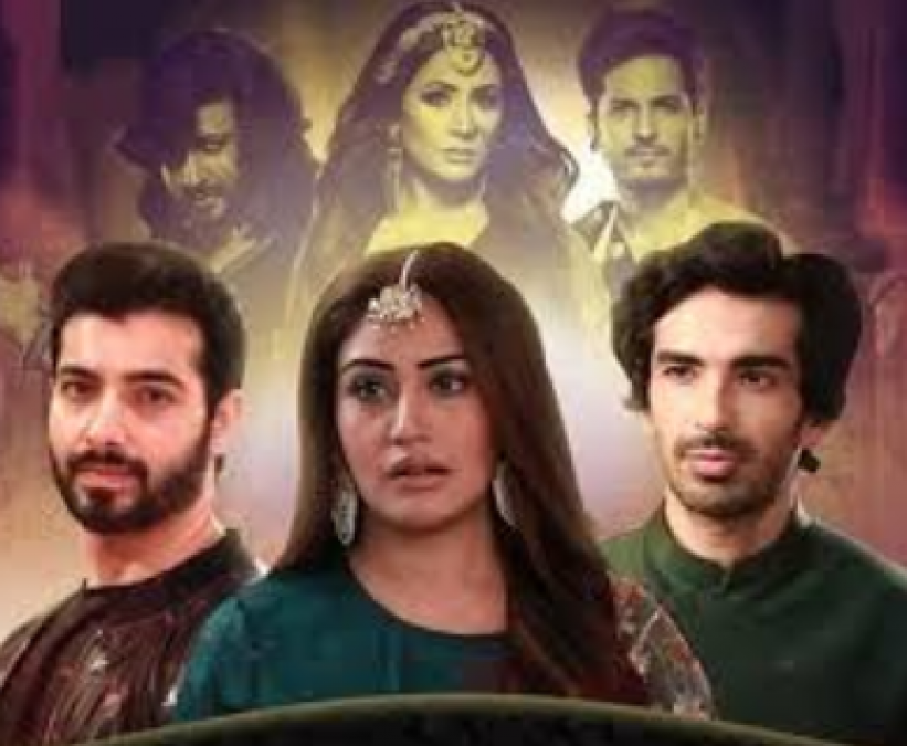 Naagin 5 will see a dramatic twist, Veer will save Bani's life
