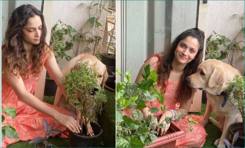 Ankita plants saplings in memory of Sushant, shares picture