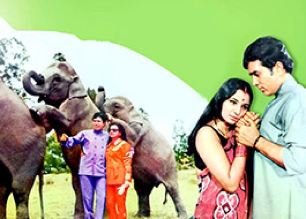 The Remarkable Reunion of Raju the Elephant and Tanuja