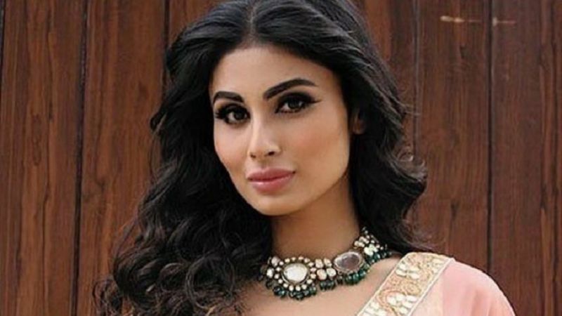 Mouni Roy will Be Seen In The Negative Role In This Film