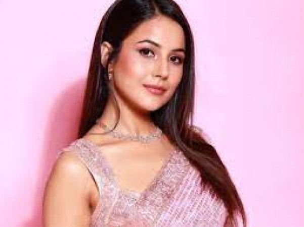 Shehnaaz Gill to feature in Rhea Kapoor's next