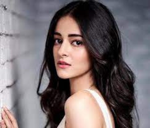 What did Ananya Panday commented about Alia Bhatt ?