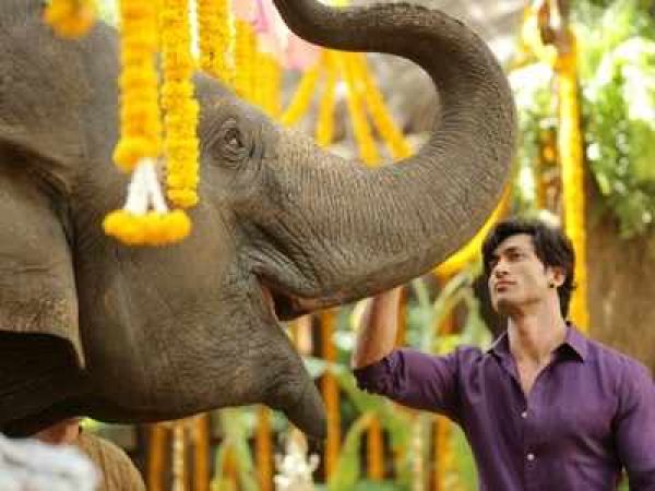 Vidyut Jammwal dreadful martial acts from Junglee’s set revealed