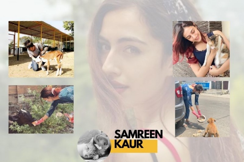 SAMREEN KAUR SUPPORTS THE VOICELESS DURING THE PANDEMIC!