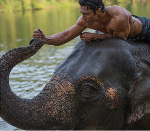 The bond between man and beast: Vidyut jamwal’s ‘Junglee’