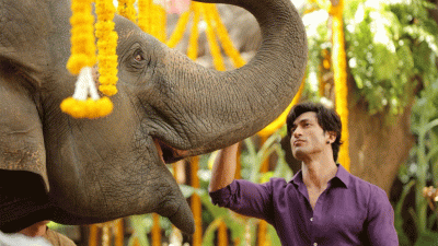 Vidyut Jammwal gifts to kid, arranges a special screening of Junglee trailer for them