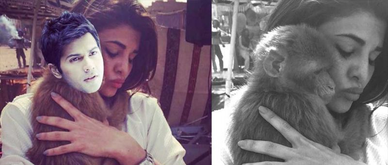 Jacqueline Fernandez's Instagram pictures with Varoon and Monkey