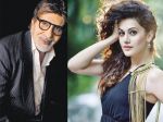 Tapsee Panu is not a newcomer but a professional said Amithabh Bachchan