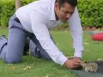 VIDEO : जब प्रेमलीला करते हुए सलमान ने खिलाया गिलहरी को खाना