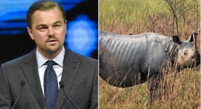 Hollywood Leonardo DiCaprio praises Assam Government for this reason