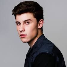 The ‘Stitches’ Singer Shawn Mendes performed for fans