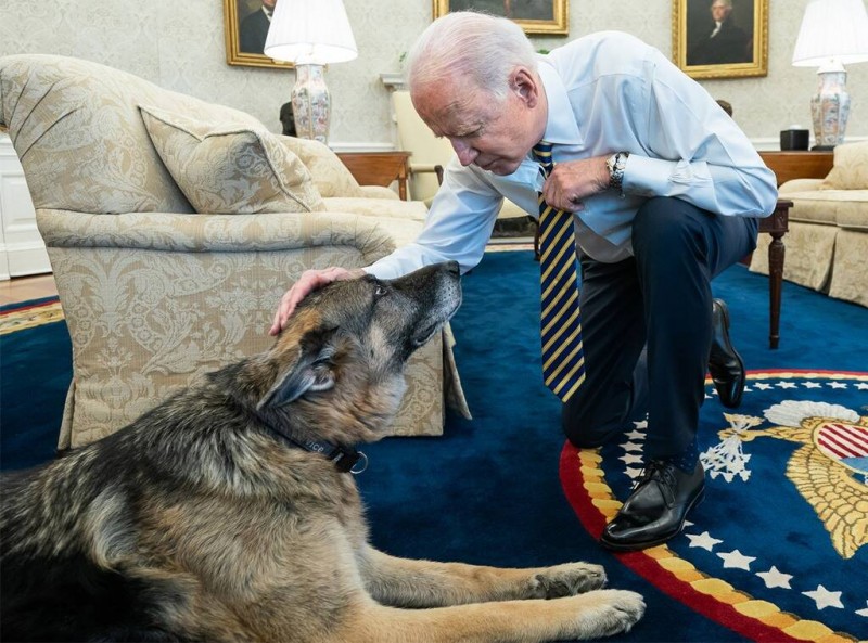 The Bidens mourn Champ, 13: Dogs and cats in the White House
