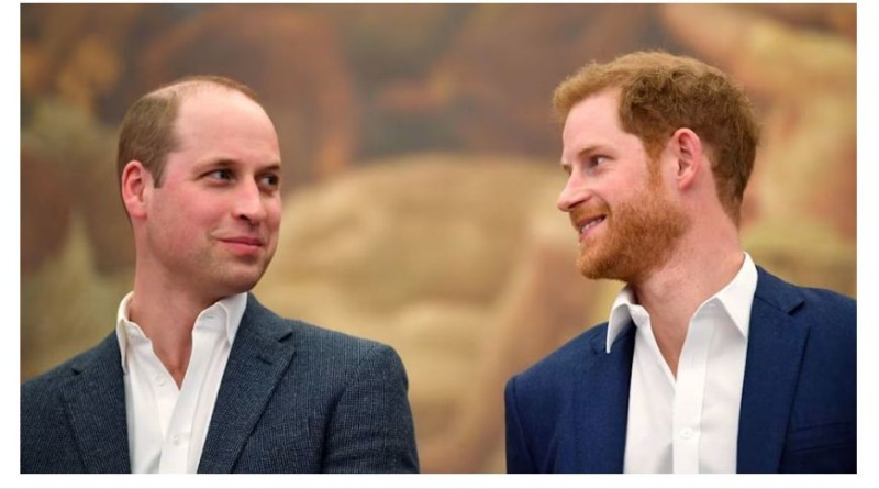 Princess Diana's Legacy Unites William and Harry: Brothers to Attend Award Ceremony in London