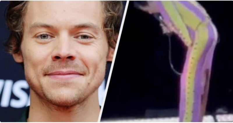 Singer Harry Styles hit by bottle on his crotch during concert