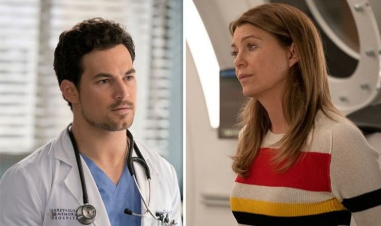 Grey's Anatomy likely to end after 17 seasons