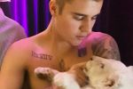Justin Bieber wants to adopt a baby Lion and name him Simba