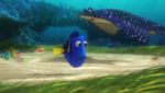 Finding Dory to be a problem for the fish, Petition Asks Disney, Pixar to Protect 'Dory' Fish