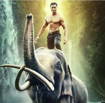 Junglee box office collection: Vidyut Jammwal's film collect this much in first week