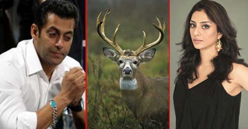Eyewitness claims: Tabu provoked Salman Khan to shoot the blackbuck