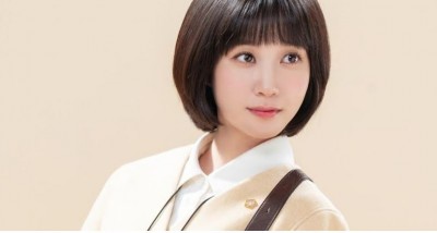 Extraordinary Attorney Woo to get a second season?