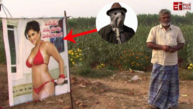 Andhra Pradesh farmer sets Sunny Leone ‘Starecrow’ to save his crops from thieves