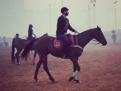 See Pic - Arjun Kapoor begins early morning prep for Panipat, takes lessons of horse-riding for his role