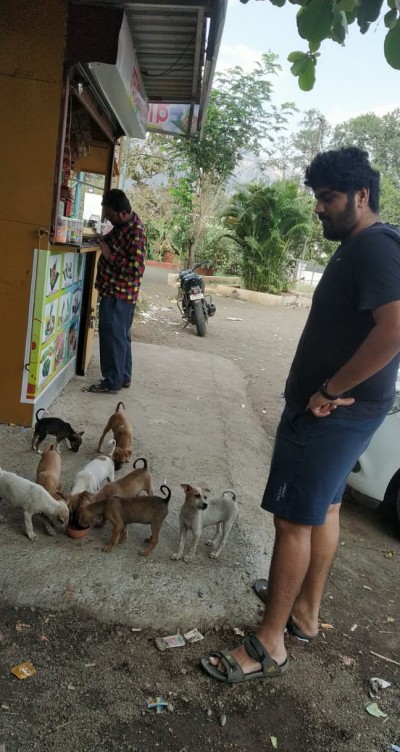 An ardent dog lover and entrepreneur Aditya Modak came forward to help the stray dogs