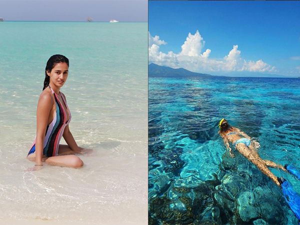 Disha Patani gives tough competition to the beauty of Mermaid in these bikini photos