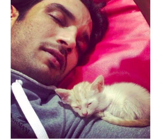 How cute! Sushant Singh Rajput taking a nap with cute kitten