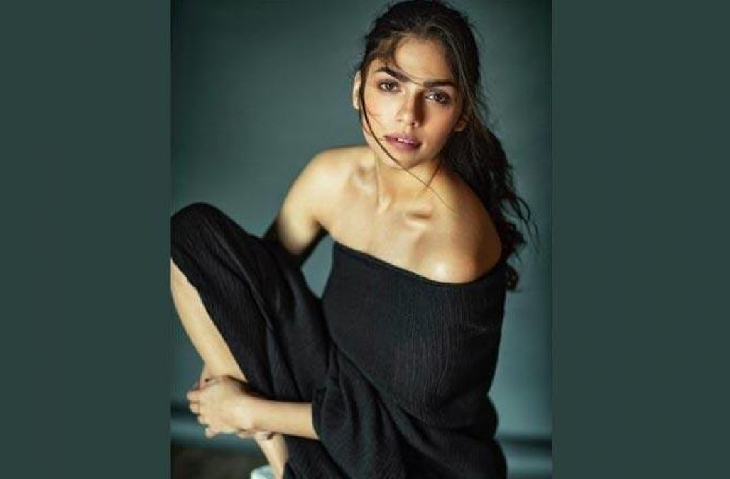 'Yes, there is nepotism in Bollywood' says Malaal actress Sharmin Segal