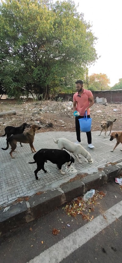 Model and fitness enthusiast Harsh Gawali came forward to feed starving street dogs amidst the lockdown