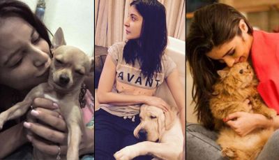 How much the pet lovers of B-town spend on their little pals?