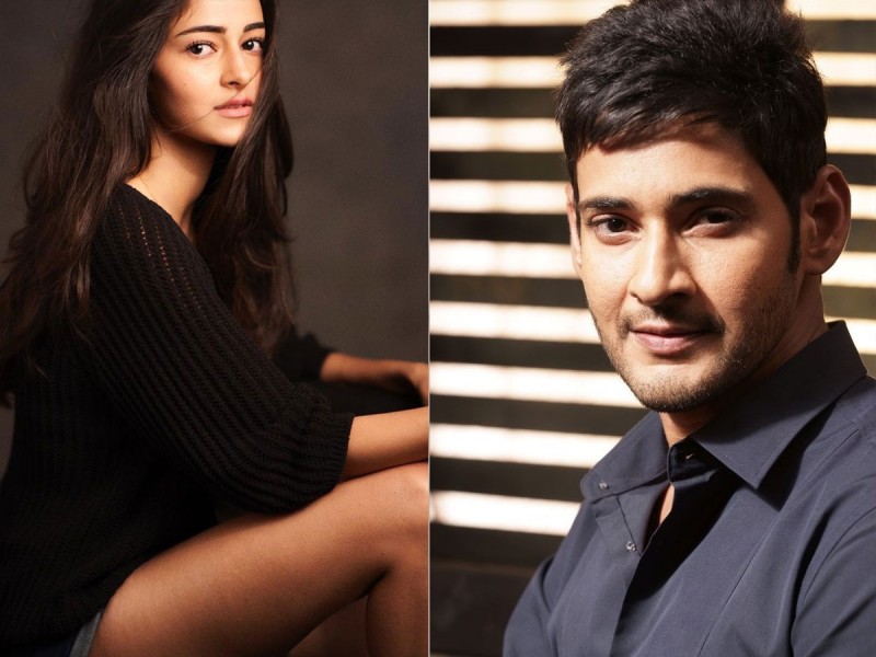 Ananya Pandey to share screen with Mahesh Babu? Know the truth here!