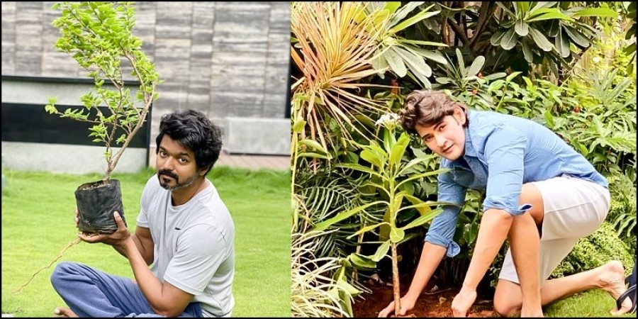 After Mahesh Babu, Actor Vijay takes the Green Challenge