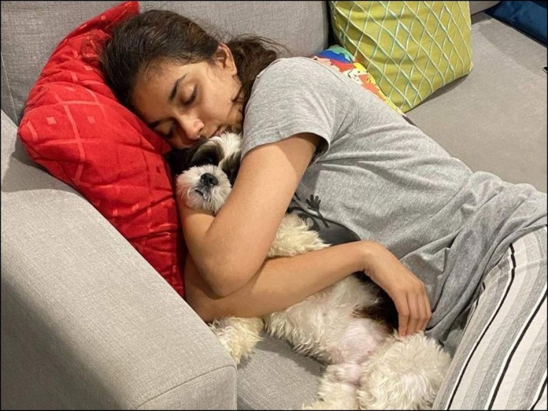 Keerthy Suresh shared an adorable pic as she revealed her cuddle buddy.