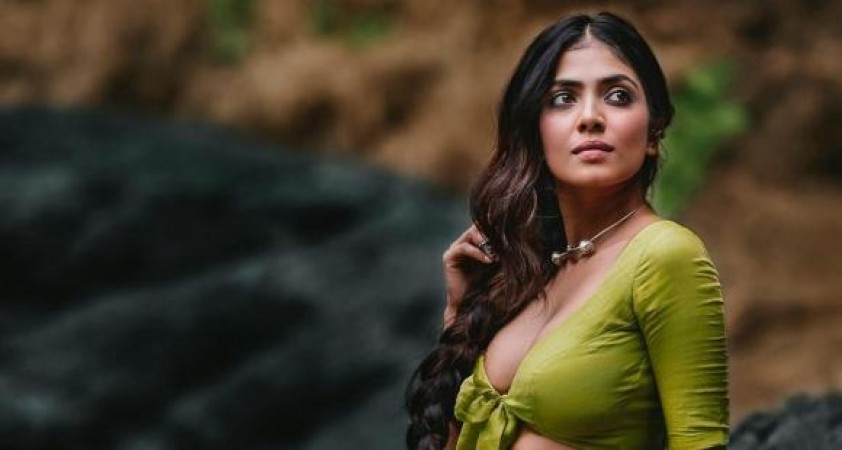 After success in Tollywood and Kollywood Malavika Mohanan plan to enter in Bollywood