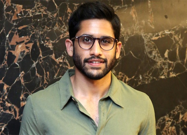 Actor Naga Chaitanya won't appear in the Telugu version of Kartik Aaryan's horror-comedy Bhool Bhulaiyaa 2