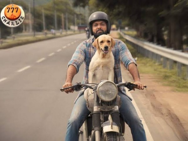 WATCH TEASER: 777 Charlie is all about endearing journey of Charlie