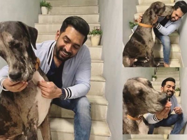 Arun Vijay's fun with his pet dog