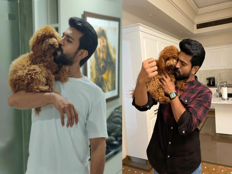 Ram Charan welcomes new Pet Furball into the house