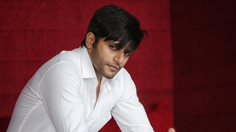 Karanvir Bohra: A hit show leads to a lot of regressive kind of shows