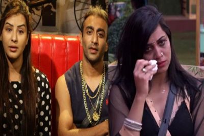 Akash and Arshi Fought Badly in Bigg Boss House