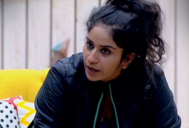Bigg Boss 12: Surbhi accuses Romil of staring inappropriately at her