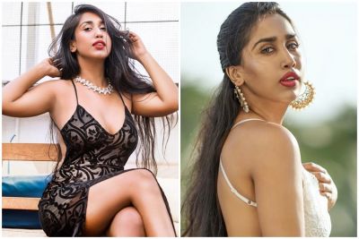 Bigg Boss 12: This hot contestant's name adds in house members list through wild card entry