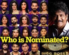 Bigg Boss: Four survive in elimination process