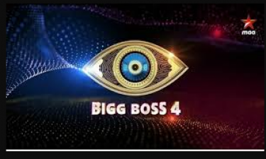 Telugu BB 4: This guy is going to eliminated this weekend