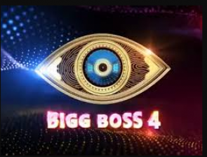 Big Boss Telugu 4: Another wild card entry contestants