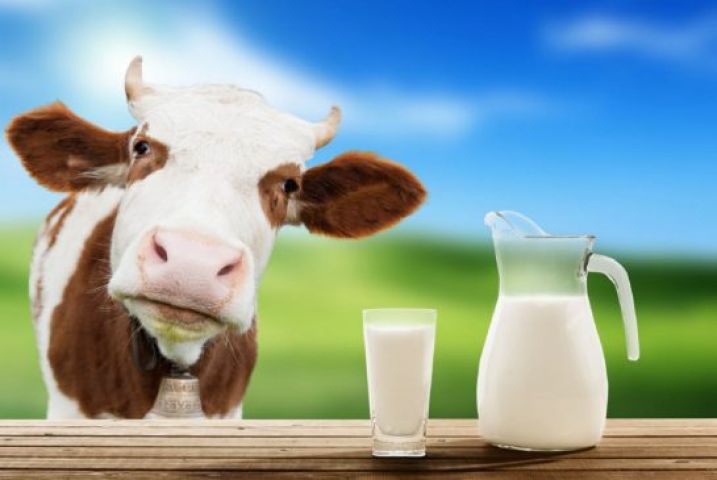 गाय का दूध कम करता है पेट के केंसर का खतरा