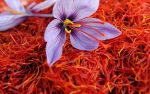 Know the health benefits of saffron